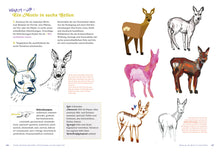 Laden Sie das Bild in den Galerie-Viewer, Buch – Roberta Bergmann: Die Grundlagen der Illustration